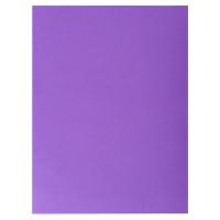 Exacompta Rock''s Aktendeckel Violett Pappkarton 210 g/m² 250 Stück