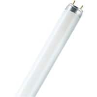 Osram T8 Leuchtstofflampe Matt G13 18 W Warmweiß 25 Stück