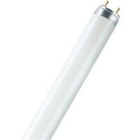 Osram T8 Leuchtstofflampe Matt G13 36 W Kaltweiß 25 Stück