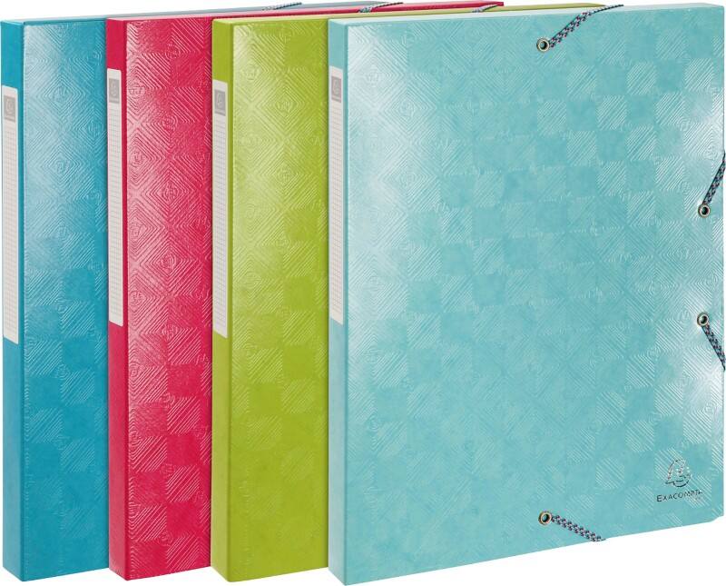 Exacompta Archivbox 59220E A4 Gummiband 25 (B) x 33 (H) cm Färbig sortiert 2,5 cm 8 Stück