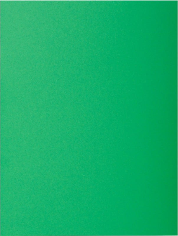 Exacompta Rock''s Aktendeckel A4 Grün Pappe 210 g/m² 100 Stück