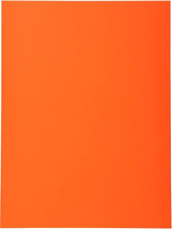 Exacompta Forever Aktendeckel DIN A4 Orange Manila Recycled 170 g/m² 500 Stück