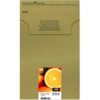 Epson C13T33374510 Original Tintenpatrone C13T33374510 Schwarz, Foto Schwarz, Cyan, Magenta, Gelb 5 Stück Multipack