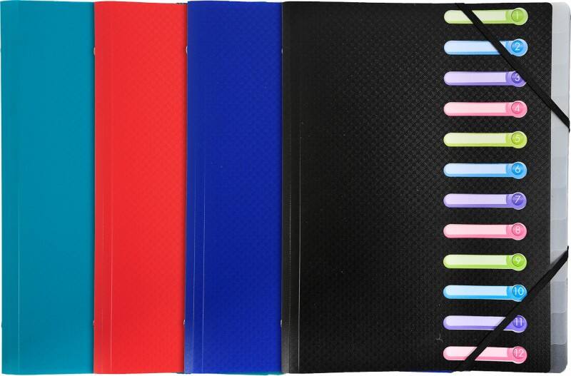 Exacompta Ordnungsmappe Spezial 12-teilig Farbig sortiert 55180E 24 (B) x 32 (H) cm 10 Stück