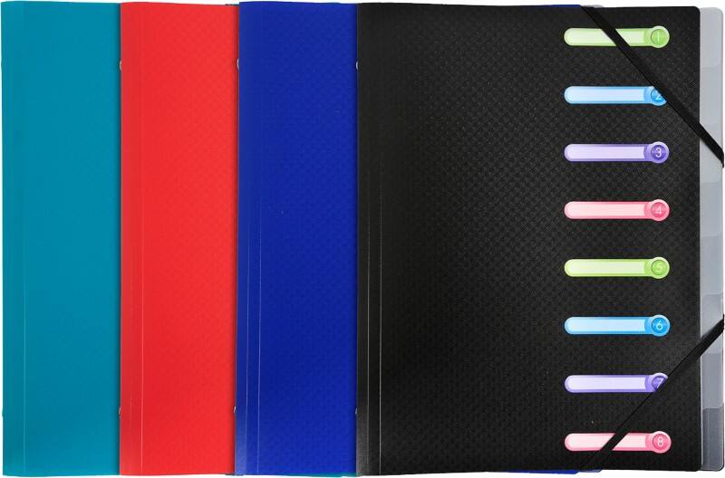 Exacompta Ordnungsmappe Spezial 8-teilig Farbig sortiert 56180E 24 (B) x 32 (H) cm 10 Stück