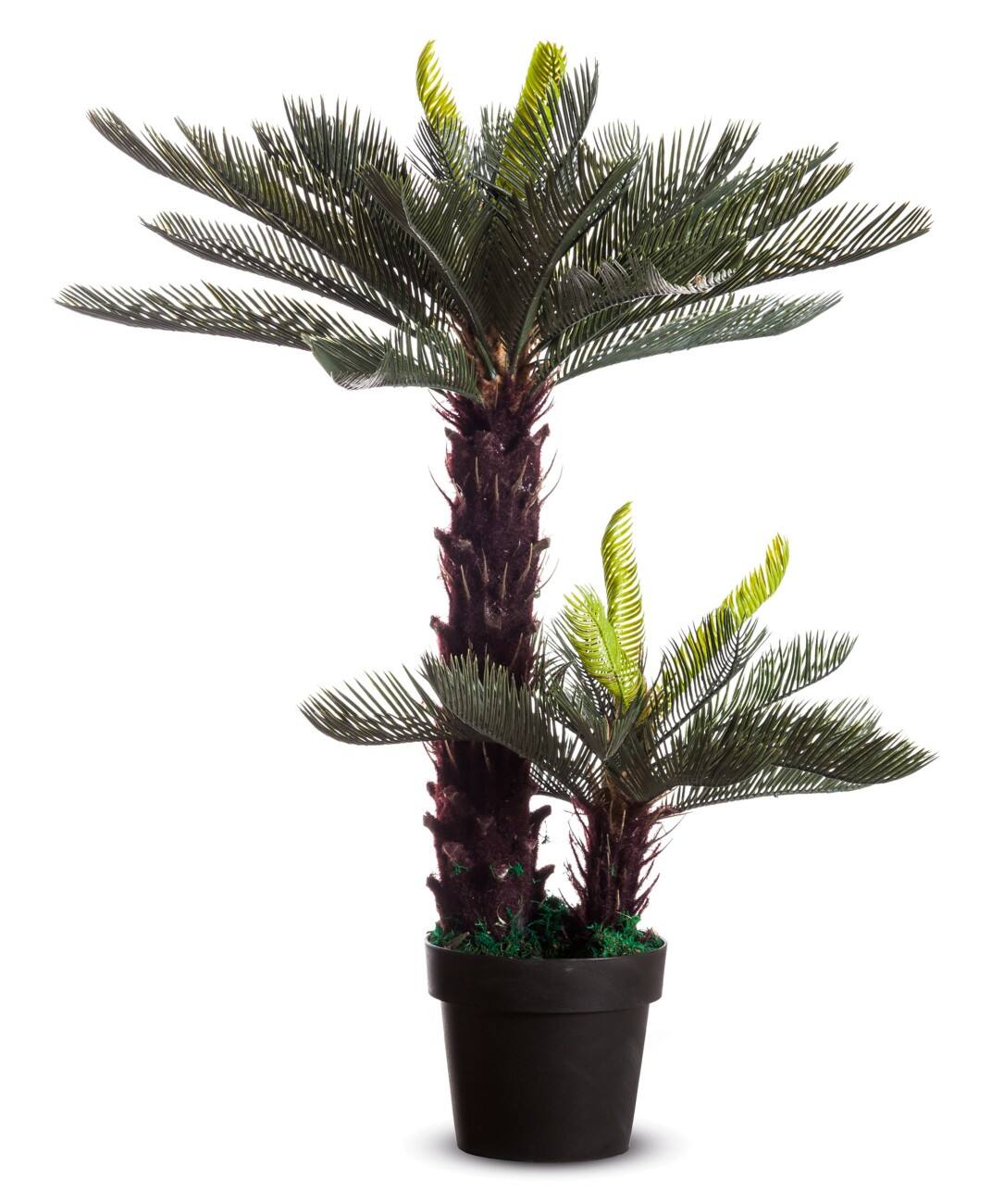 Paperflow Künstliche Pflanze Cycas Grün 210 x 210 x 800 mm