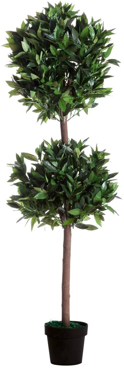 Paperflow Künstliche Pflanze Le Laurel Grün 250 x 250 x 1.650 mm