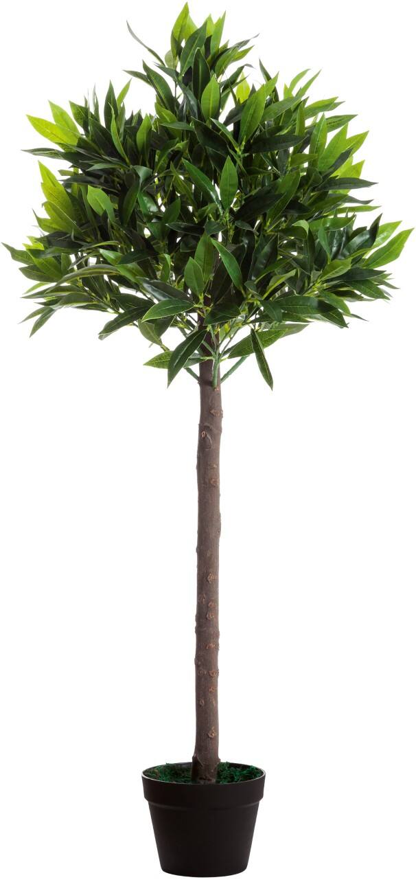 Paperflow Künstliche Pflanze Olivenbaum Grün 190 x 19 x 1.250 mm