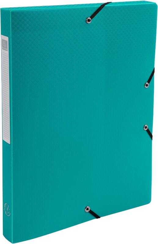 Exacompta OpaK Archivbox 59683E A4 PP (Polypropylen) 25 (B) x 33 (H) cm Grün 2,5 cm 8 Stück