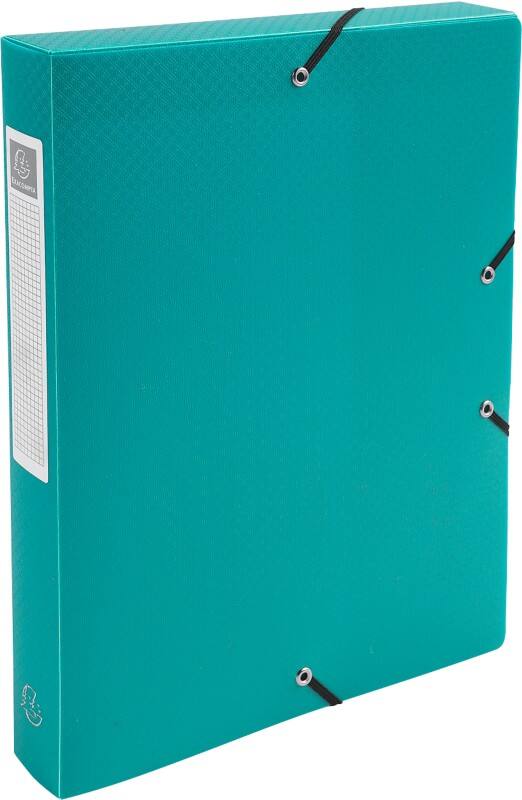 Exacompta OpaK Archivbox 59783E A4 PP (Polypropylen) 25 (B) x 33 (H) cm Grün 4,0 cm 8 Stück