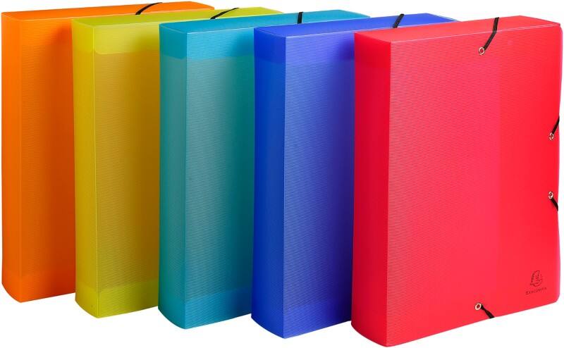 Exacompta Linicolour Archivbox 5987E A4 PP (Polypropylen) 25 (B) x 33 (H) cm Färbig sortiert 6,0 cm 8 Stück