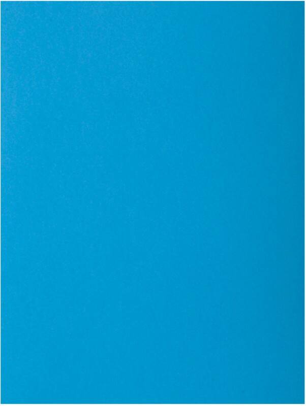 Exacompta Präsentationsmappe 216019E DIN A4 Blau Karton 24 x 32 cm 250 Stück