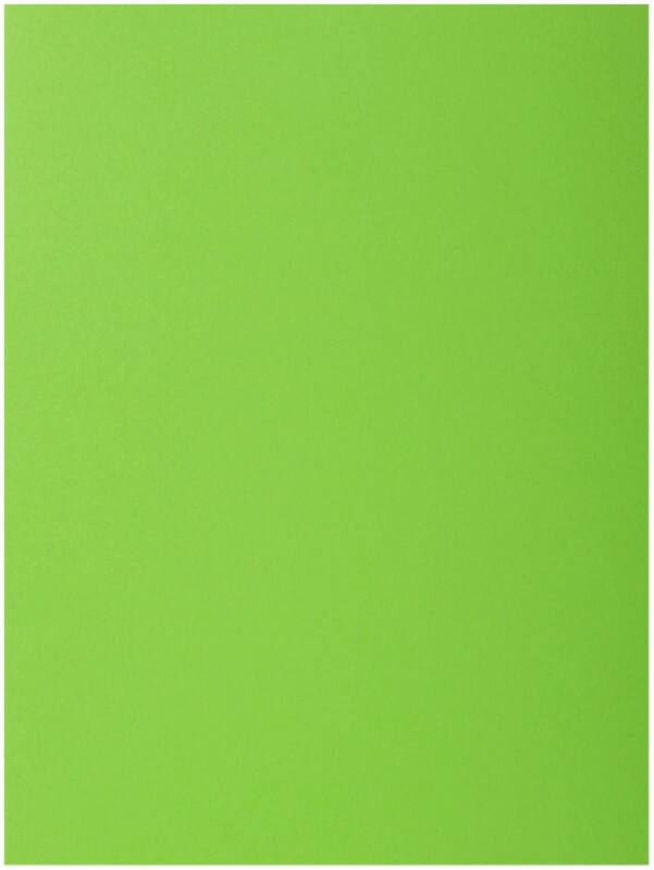 Exacompta Aktenmappe 218013E DIN A4 Grün Karton 24 x 32 cm 250 Stück