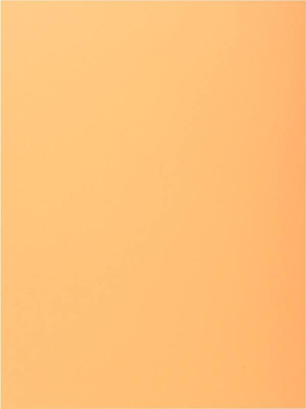 Exacompta Aktenmappe 339002E DIN A4 Hellorange Karton 24 x 32 cm 250 Stück