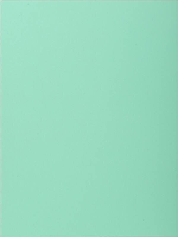 Exacompta Aktenmappe 339004E DIN A4 Hellgrün Karton 24 x 32 cm 250 Stück