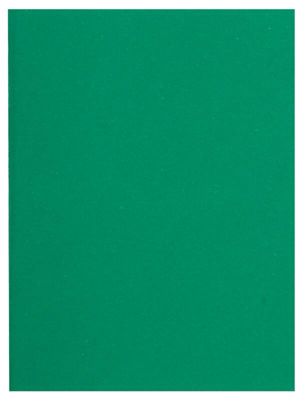 Exacompta Flash Aktendeckel A4 Grün Manila 80 g/m² 1000 Stück