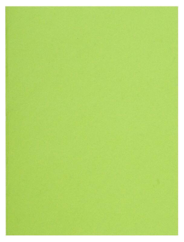 Exacompta Flash Aktendeckel DIN A4 Grün Manila 80 g/m² 1000 Stück