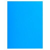 Exacompta Rock''s Aktendeckel Blau Pappkarton 210 g/m² 250 Stück