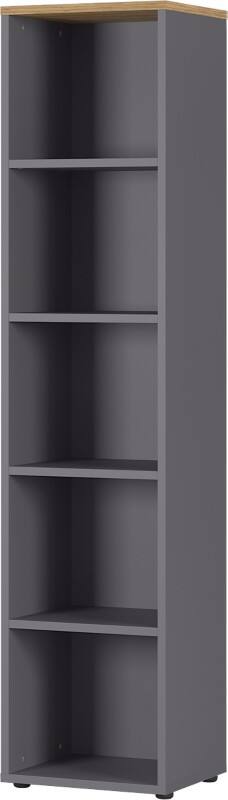 GERMANIA Bücherregal Graphit, Eiche 450 x 400 x 1.970 mm