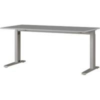 GERMANIA Schreibtisch 4240 Hellgrau, Silber 1.600 x 800 x 870 x 680 - 880 mm