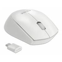 DeLOCK Kabellose Optische USB-C Maus Beidhändig Weiß