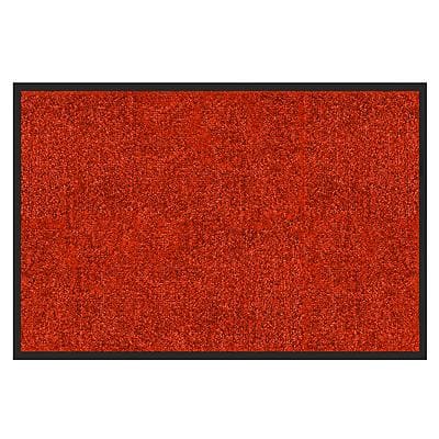 Sauberlaufmatte Color Your Life Rhine Rot Polyamid 600 x 900 mm