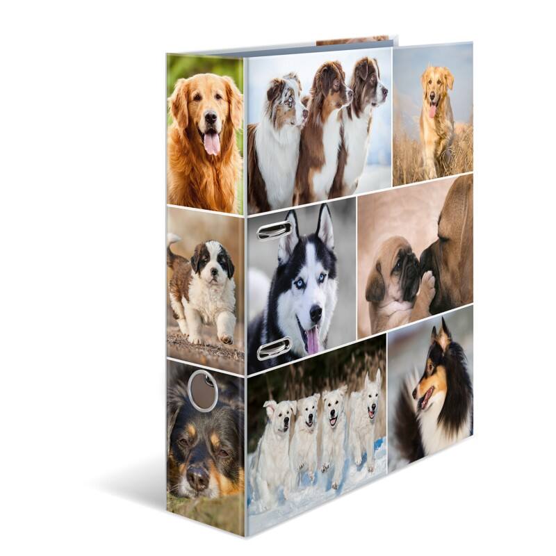 HERMA Motif Ordner Breit A4 70 mm Farbig sortiert 2 Ringe 7165 Pappkarton Glatt Hochformat 10 Stück