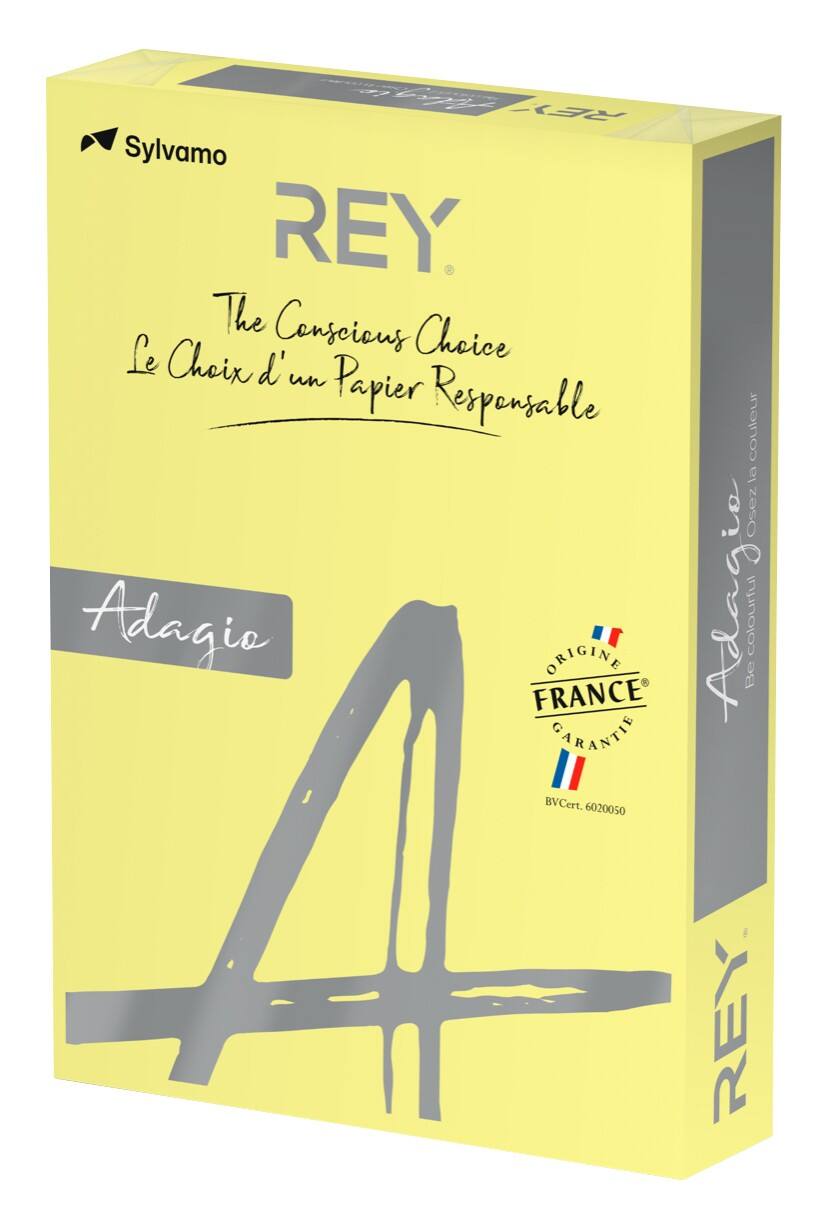Rey Farbiges Papier A4 120 g/m² Kanariengelb 250 Blatt