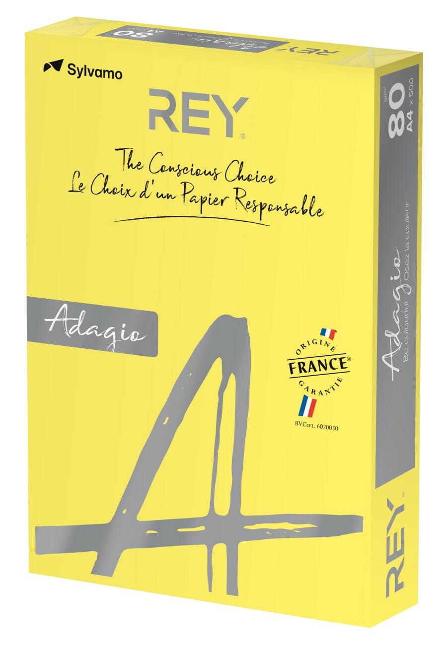 Rey Farbiges Papier A4 120 g/m² Intensives Gelb 250 Blatt