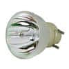 INFOCUS Projektorlampe SP-LAMP-089 190 W 5000 Std. Schwarz, Grau