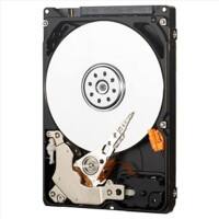 Western Digital Interne Festplatte WD3200LUCT 320 GB