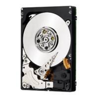 IBM Interne Festplatte 00Y2509 500 GB