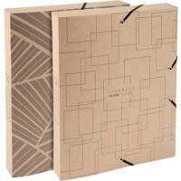 Exacompta Eterneco Archivbox A4 40 mm Braun 8 Stück