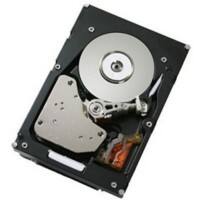 IBM Interne Festplatte 81Y9915 900 GB