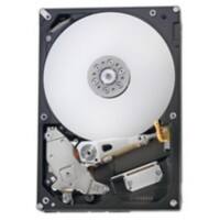Fujitsu Interne Festplatte S26462-F3500-L100 1000 GB