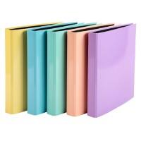 Exacompta Ringbuch Farbig Sortiert Pastell 320 x 250 x 20 mm Packung à 10
