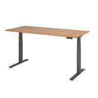 Hammerbacher VXDKB Sitz-Stehschreibtisch Walnuss C-Fuß 1.800 (B) x 800 (T) x 1.290 (H) mm Spanplatte, Stahl