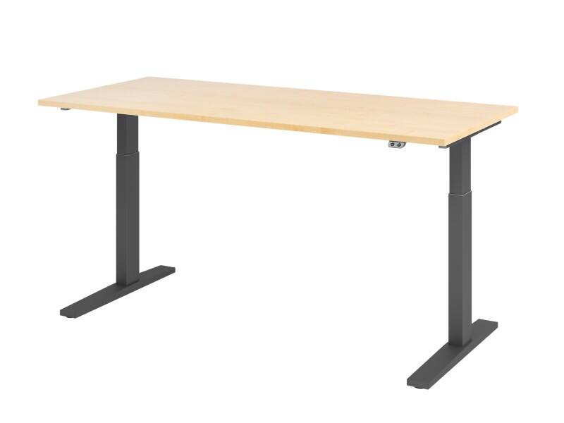 Hammerbacher VXMKA Sitz-Stehschreibtisch Ahorn C-Fuß 1.800 (B) x 800 (T) x 1.200 (H) mm Spanplatte, Stahl