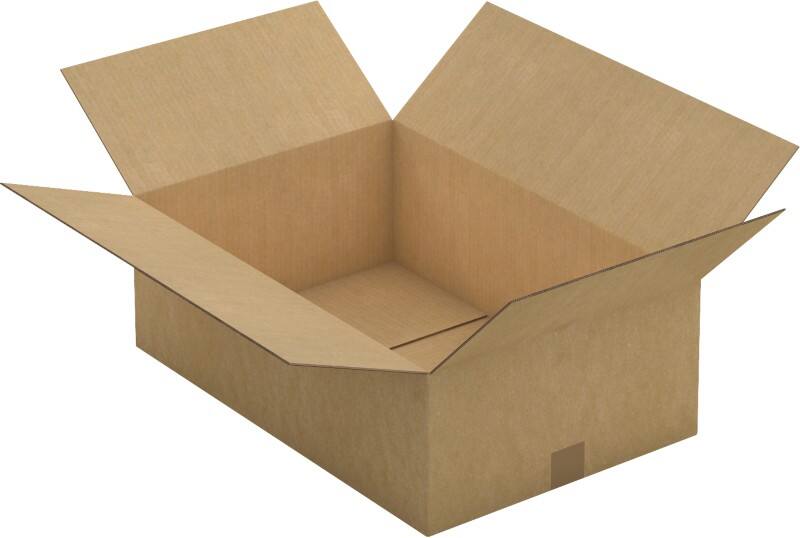 RAJA Versandkarton 2-wellig Pappe 400 (B) x 200 (T) x 600 (H) mm Braun 10 Stück
