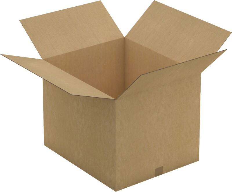 RAJA Versandkarton 2-wellig Pappe 550 (B) x 500 (T) x 650 (H) mm Braun 10 Stück