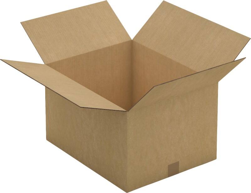 RAJA Versandkarton 2-wellig Pappe 284 (B) x 120 (T) x 584 (H) mm Braun 10 Stück