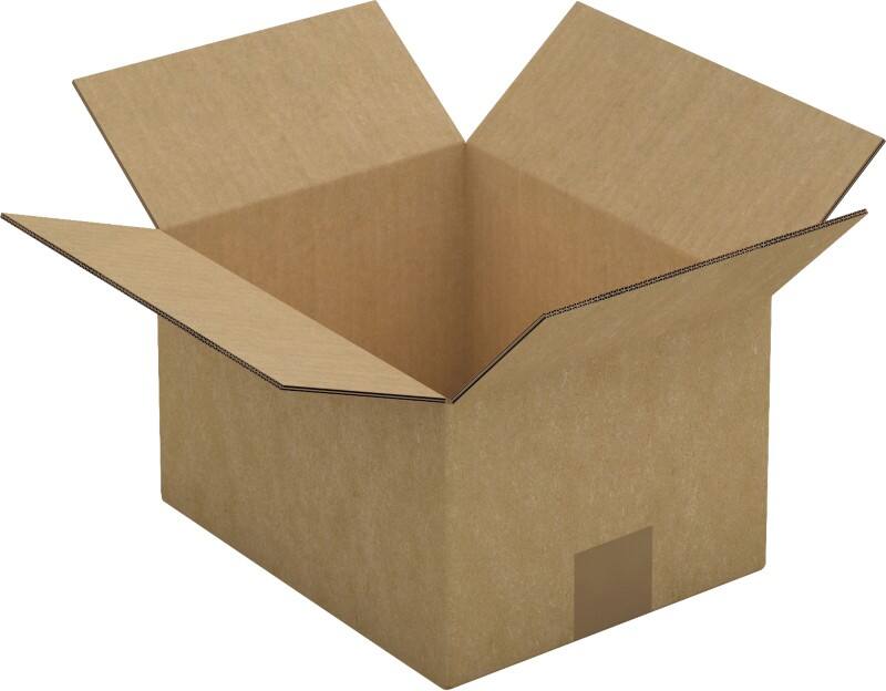 RAJA Versandkarton 2-wellig Pappe 200 (B) x 150 (T) x 250 (H) mm Braun 15 Stück