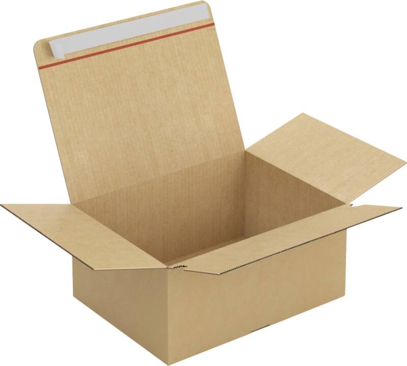 RAJA Versandkarton 1-wellig Pappe 290 (B) x 180 (T) x 390 (H) mm Braun 20 Stück