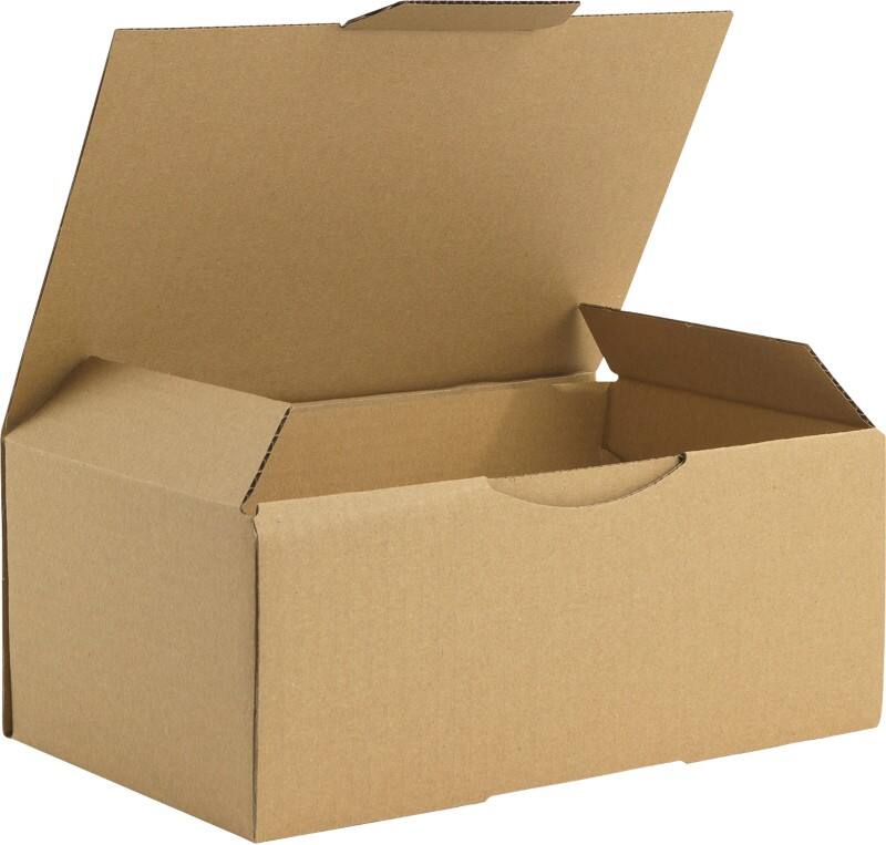 RAJA Versandkarton 1-wellig Pappe 150 (B) x 100 (T) x 250 (H) mm Braun 50 Stück