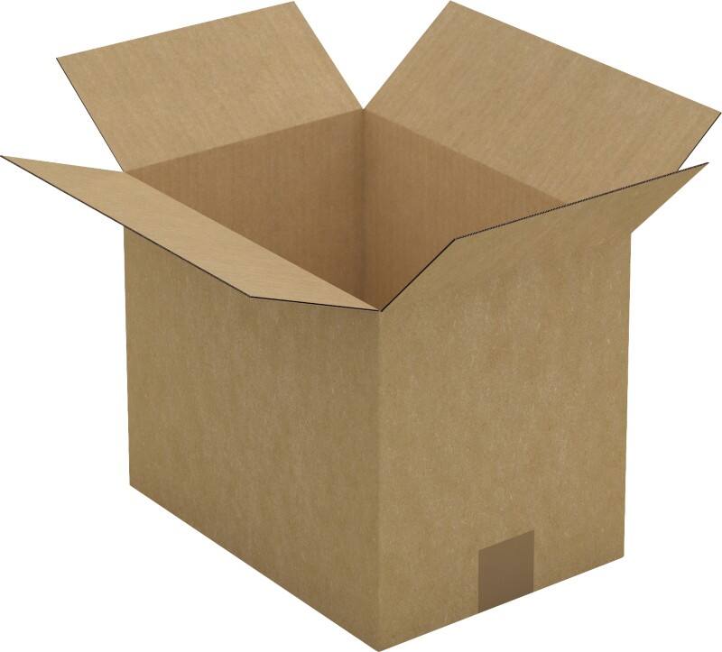 RAJA Versandkarton 1-wellig Pappe 220 (B) x 250 (T) x 310 (H) mm Braun 25 Stück