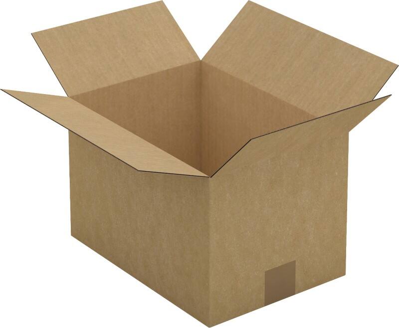RAJA Versandkarton 1-wellig Pappe 220 (B) x 200 (T) x 310 (H) mm Braun 25 Stück