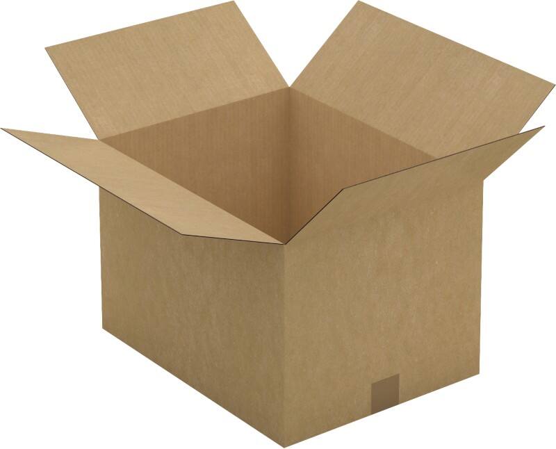 RAJA Versandkarton 1-wellig Pappe 310 (B) x 250 (T) x 430 (H) mm Braun 25 Stück