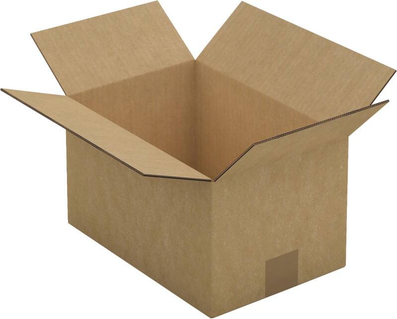 RAJA Versandkarton 2-wellig Pappe 200 (B) x 170 (T) x 300 (H) mm Braun 15 Stück