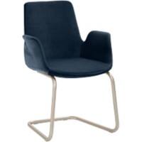 mayer sitzmöbel Sessel Dunkelblau PL (Polyester)
