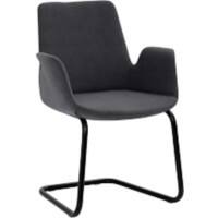 mayer sitzmöbel Sessel Anthrazit PL (Polyester)